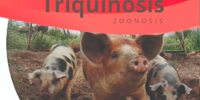 Triquinosis