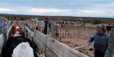 Caracterización de sistemas ganaderos