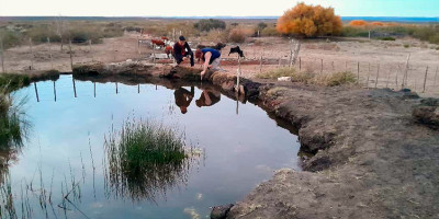 Línea Sur Plan Calor Garrafa